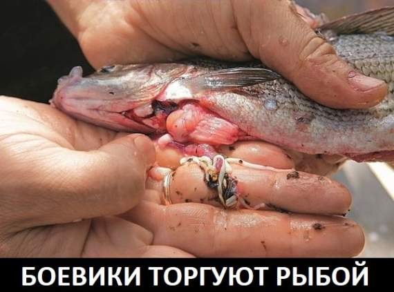 Боевики торгуют на базаре зараженной рыбой